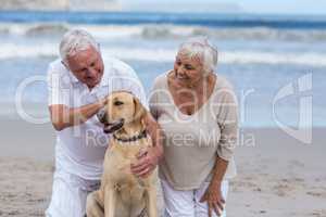 Senior couple playing with their dog on the beach