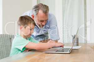 Father and son using laptop at desk