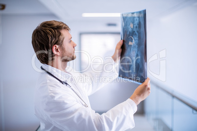 Male doctor examining x-ray in corridor