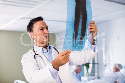 Male doctor checking x-ray report