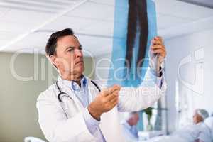Male doctor checking x-ray report