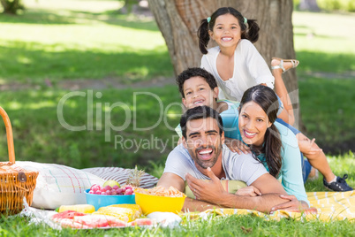 Portrait of happy family enjoying together in park