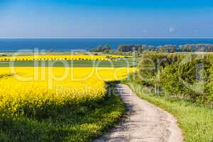 Blick auf die Ostsee in der Nähe von Kühlungsborn