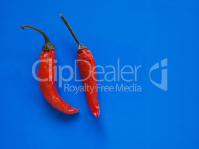 hot chili pepper vegetables over blue with copy space