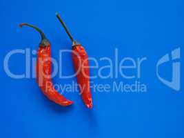 hot chili pepper vegetables over blue with copy space