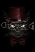 dark muzzle cat  in red hat and tie butterfly