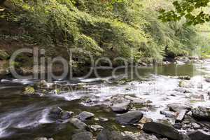 River flowing with rocks and trees