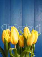 Bunch of yellow tulips