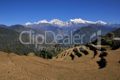 View from Baglungpani, Mt Manaslu
