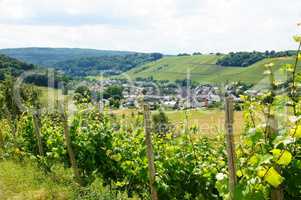 Weinort Burgen