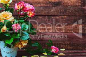 Bouquet of multicolored roses in an iron bucket