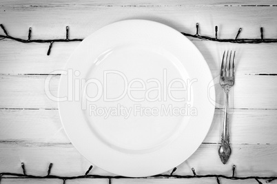 White empty plate with a fork