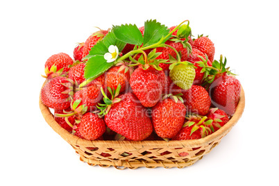 Ripe strawberries with flower in basket