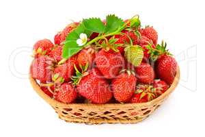 Ripe strawberries with flower in basket