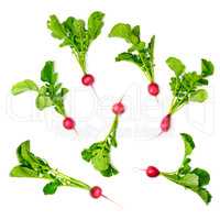 Collection red radish isolated on white background.