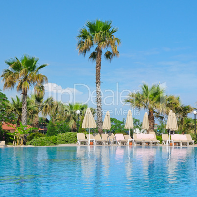 outdoor swimming pool, palm trees and sun loungers