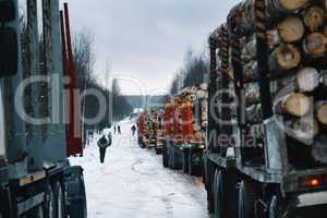 Loaded long vehicles on winter road among forest