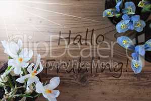 Sunny Crocus And Hyacinth, Hallo Fruehling Means Hello Spring
