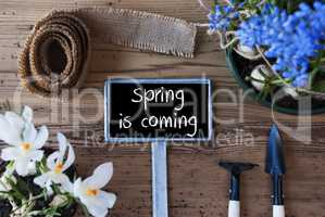 Flowers, Sign, Text Spring Is Coming