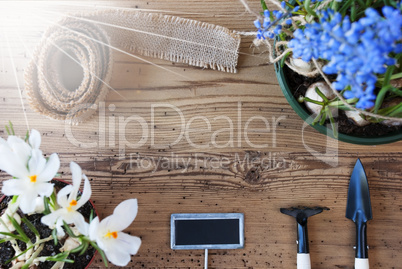 Sunny Flowers, Sign, Copy Space For Advertisement