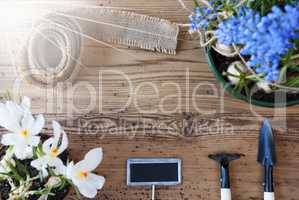 Sunny Flowers, Sign, Copy Space For Advertisement