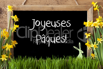 Narcissus, Bunny, Joyeuses Paques Means Happy Easter