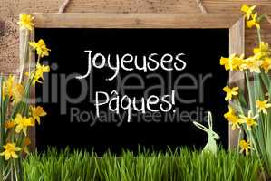 Narcissus, Bunny, Joyeuses Paques Means Happy Easter