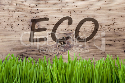 Bright Wooden Background, Gras, Text Eco