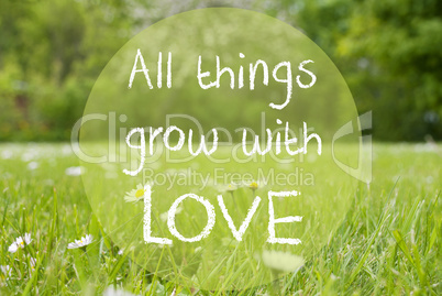Gras Meadow, Daisy Flowers, Quote All Things Grow With Love