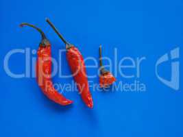hot chili pepper vegetables over blue with copy space