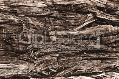 old broken wood fiber close-up