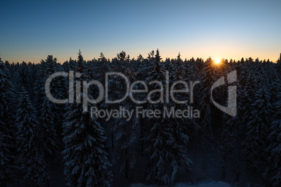 Russian winter forest and sky beautiful landscape