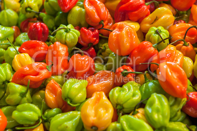 Fresh paprika at the Central Market Hall in Budapest, Hungary