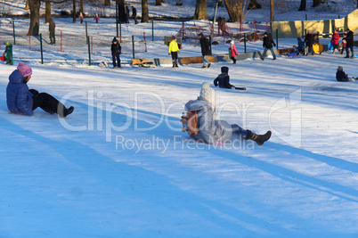 slide, sled, snow, winter, frost, holidays