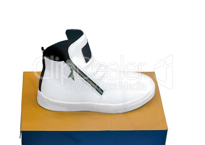 Sports shoes in a shop window on a white background
