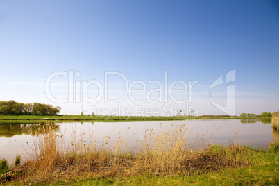 A large beautiful lake, with banks overgrown with reeds.
