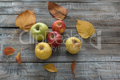 Apples and leaves on wooden boards background. Autumn concept