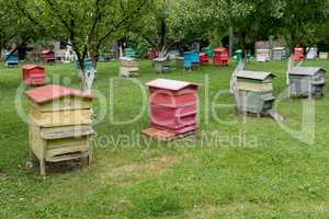 Row of beehives in a fruits tree garden.