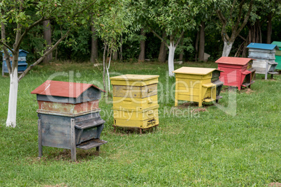 Row of beehives in a fruits tree garden.