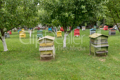 Beehives with bees in a honey farm.