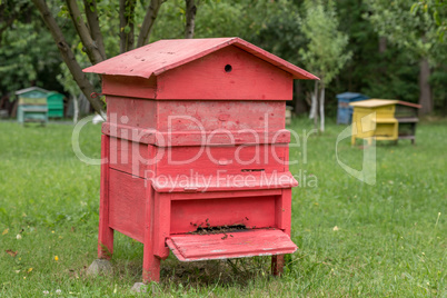 Beehive with bees in a honey farm.