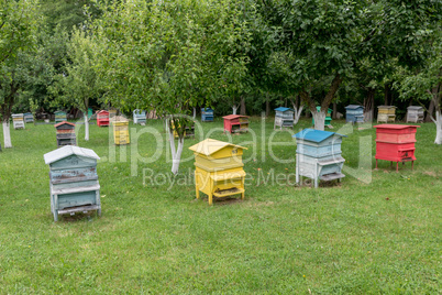 Colourful beehives.Beehives with bees in a honey farm