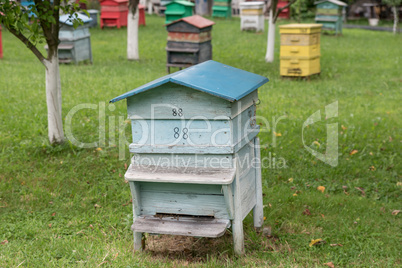 Wooden beehive with bees in a honey farm