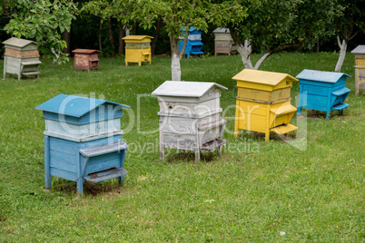 Colourful beehives.Beehives with bees in a honey farm