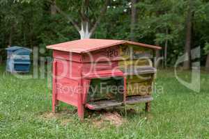 Wooden beehive with bees in a honey farm