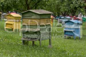 Colourful beehives.Beehives with bees in a honey farm