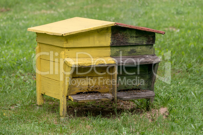 Wooden beehive with bees in a honey farm