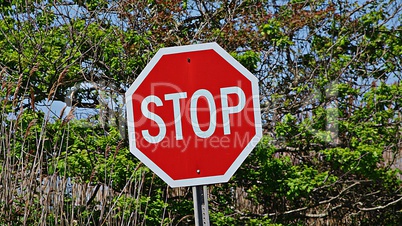 Stop Sign Traffic Laws