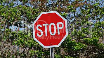 Stop Sign Traffic Laws