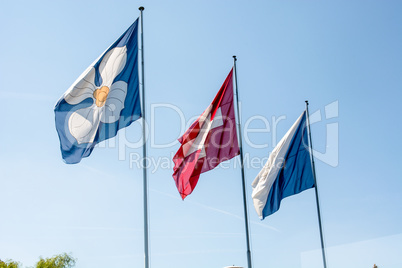 Flags of Zurich and Switzerland